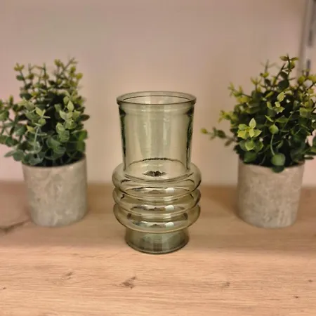 Maison Lavigne Penzion Blagnac