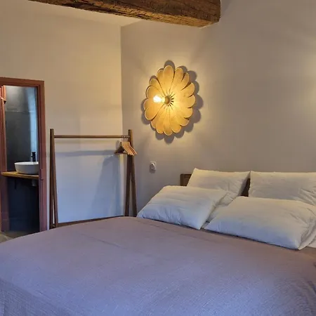 Maison Lavigne Penzion Blagnac